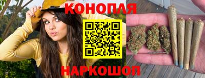 стаф Бузулук