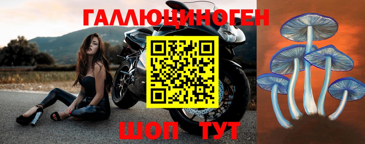 Галлюциногенные грибы мицелий Краснознаменск